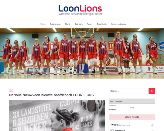 Loon Lions Logo