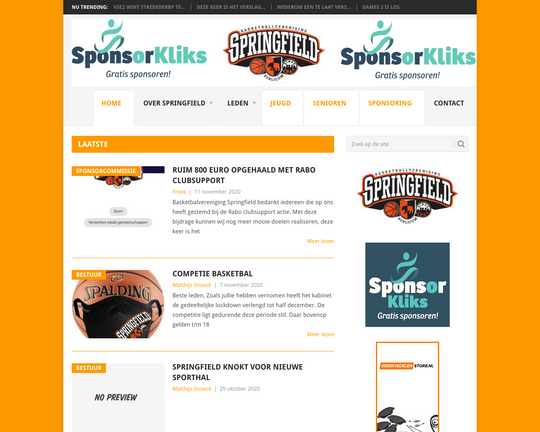 BV Springfield Logo
