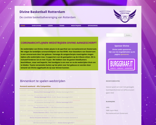 Divine Basketball Logo