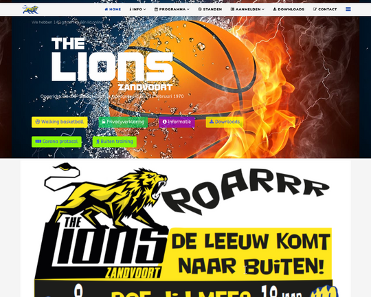 The Lions Logo